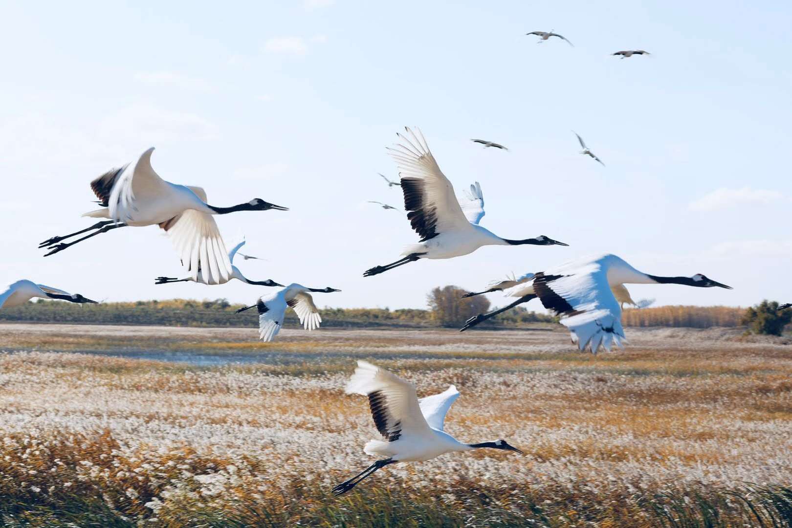 2995427b23e49e8fd36b0d28bf6dcb7.jpg 2995427b23e49e8fd36b0d28bf6dcb7.jpg