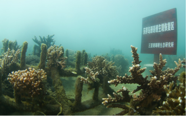 微信截图_20210922101649_副本.jpg 微信截图_20210922101649_副本.jpg