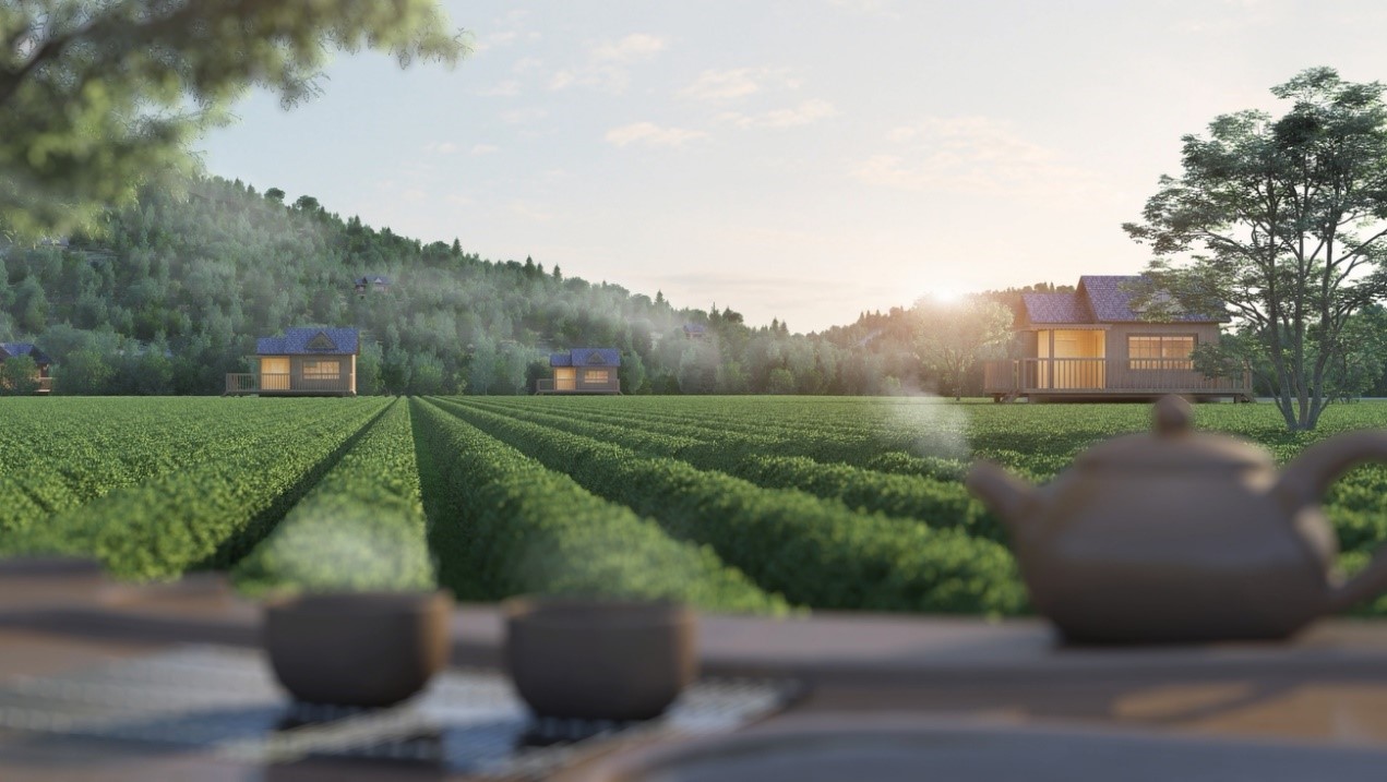 ÏÉÅ®ºþÒû²è.jpg ÏÉÅ®ºþÒû²è.jpg