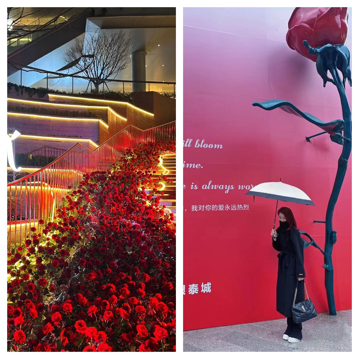 6381222287007007271124674.jpg 6381222287007007271124674.jpg